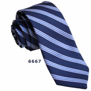 Corbata Estrecha CB 6667