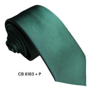 Corbata Estrecha CB 6183