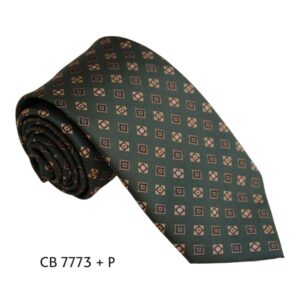 Corbata CB 7773